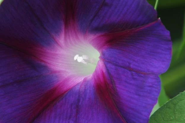 DSCF0255