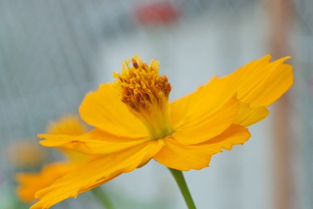 DSCF0044