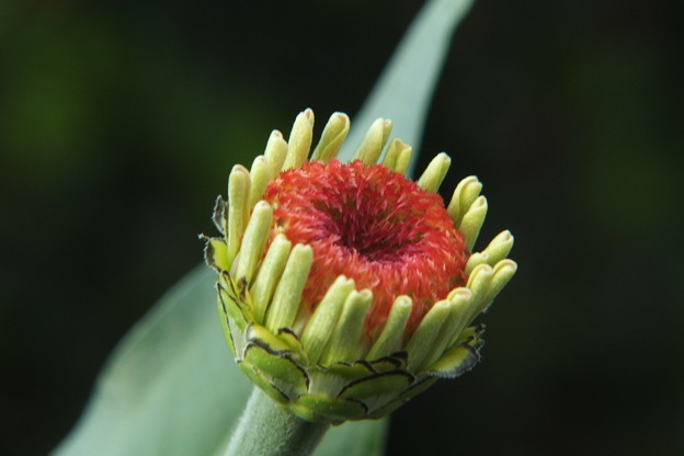 DSCF0095