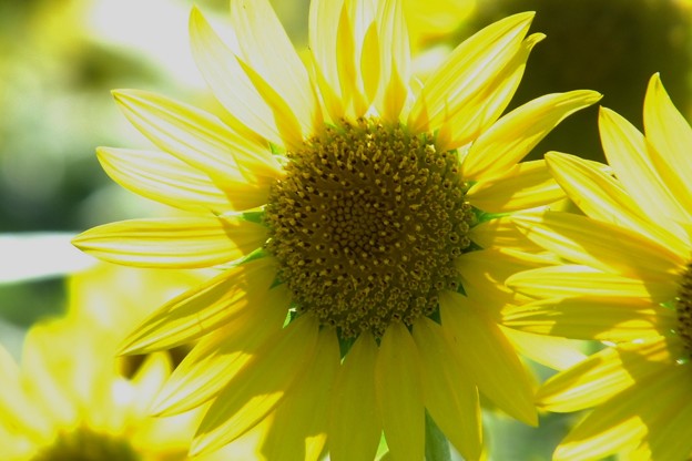 DSCF0305