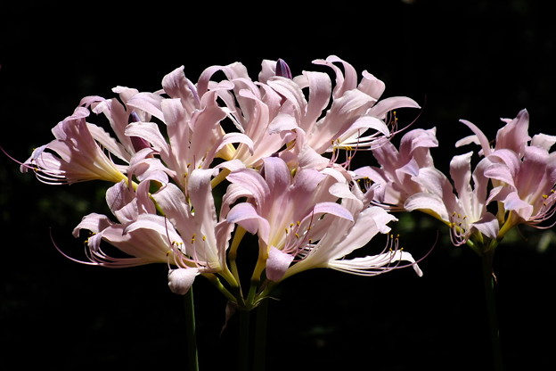 DSCF0097