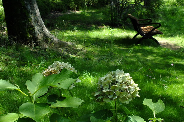 DSCF0185