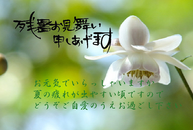 残暑27