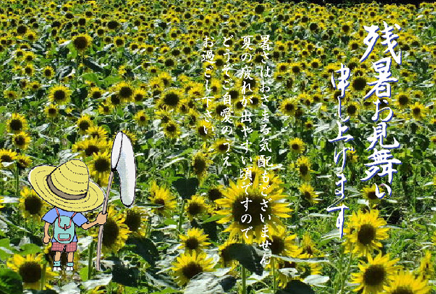 残暑36