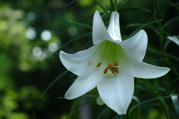 DSCF0244