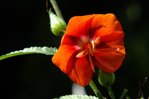 DSCF0169