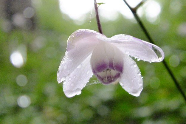 DSCF0052