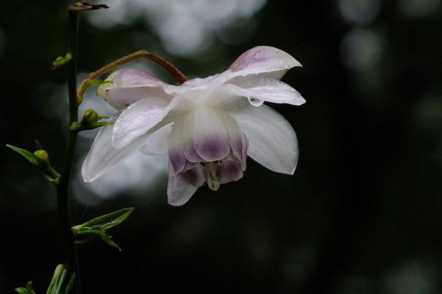 DSCF0095