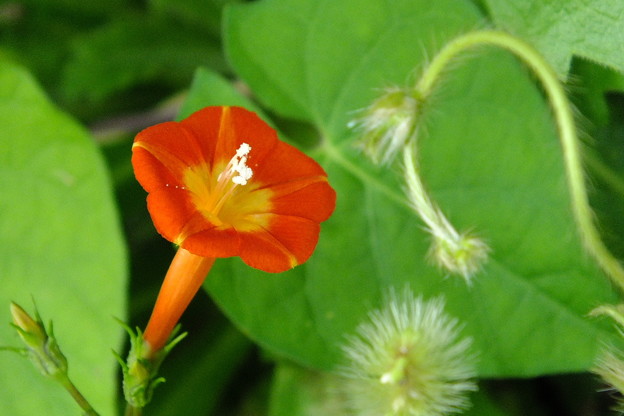 DSCF0018