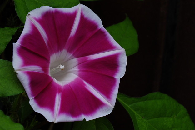 DSCF0034