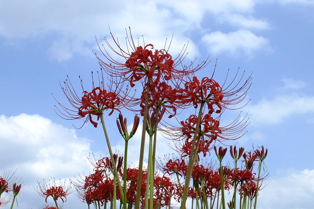 DSCF0144