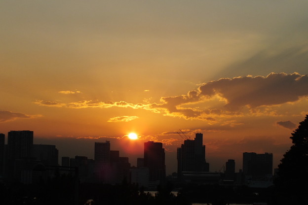 DSCF0229