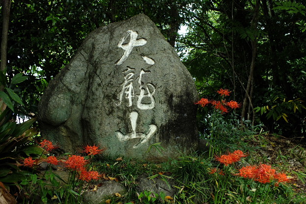 DSCF0618