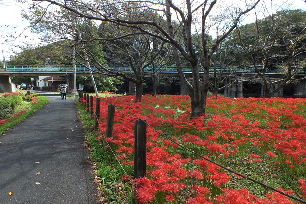 DSCF0151
