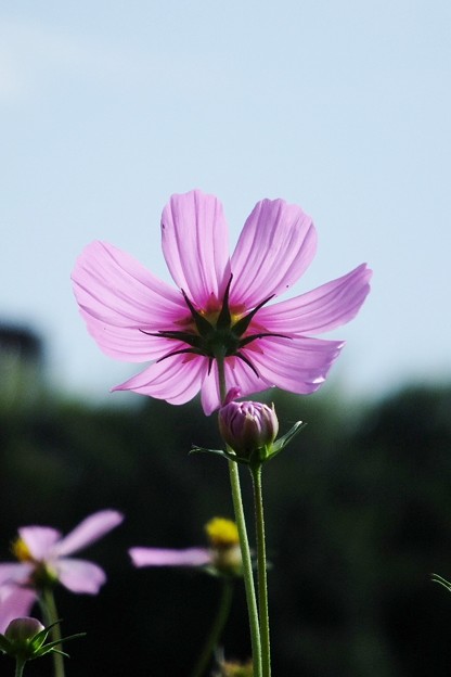 DSCF0207
