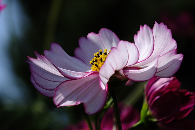 DSCF0257