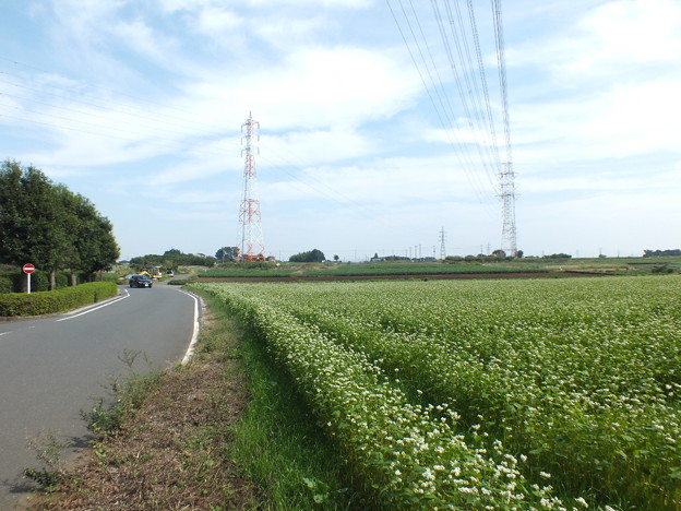 DSCF0123