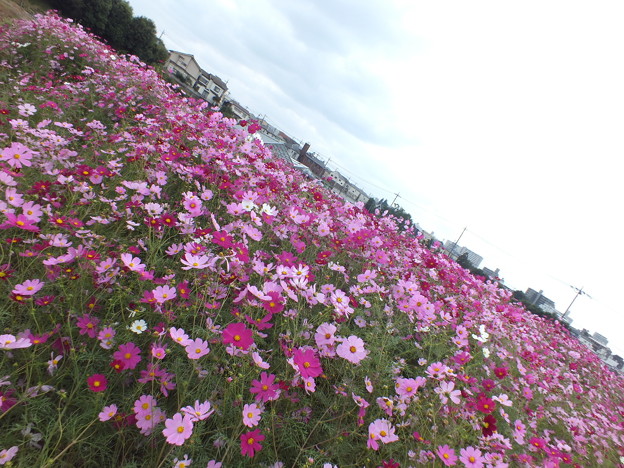 DSCF0138