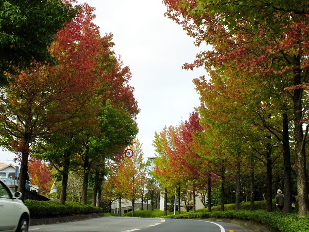 DSCF0202