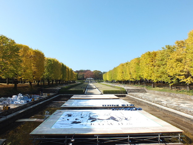 昭和記念公園79