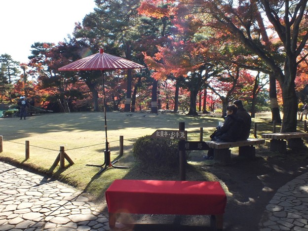 殿ヶ谷戸庭園7