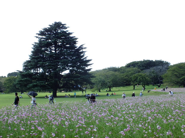 DSCF0219