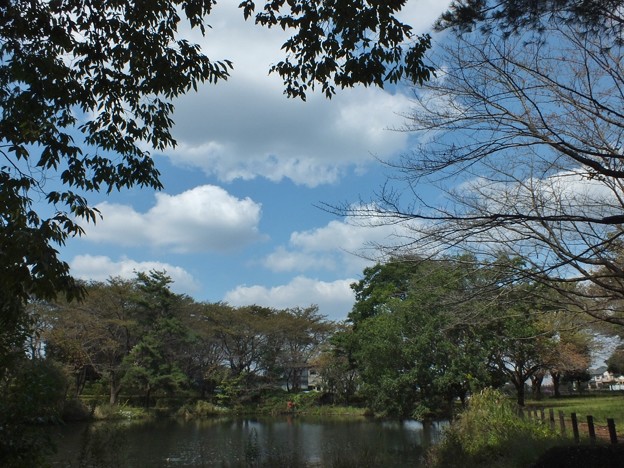 DSCF0223