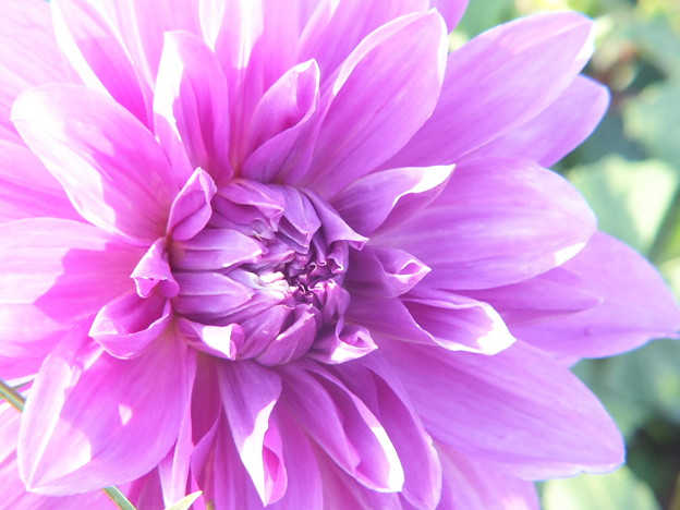 DSCF0341