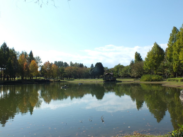 DSCF0168