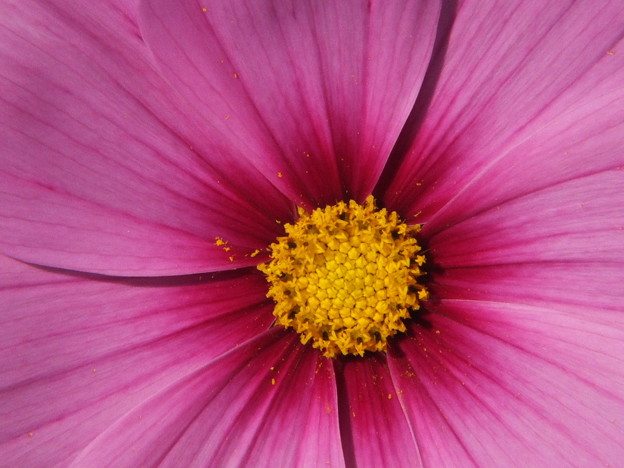 DSCF0328