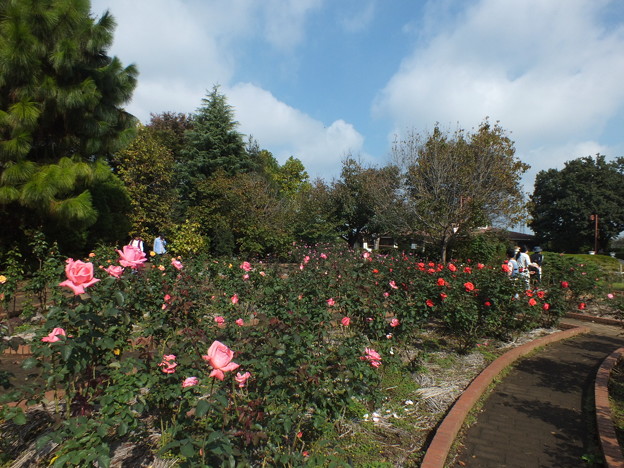 DSCF0081
