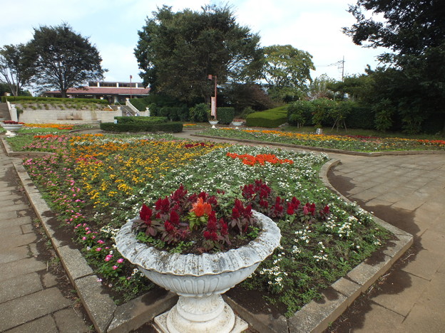 DSCF0238