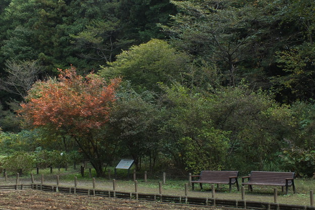 DSCF0010