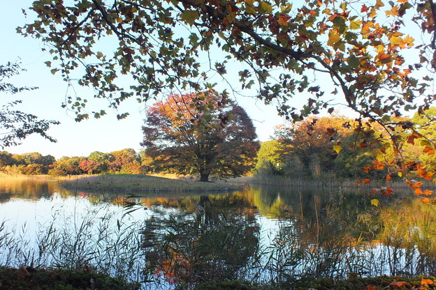 DSCF0639