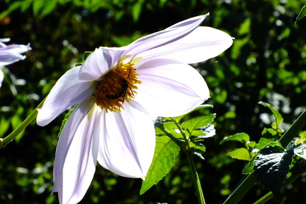 DSCF0138