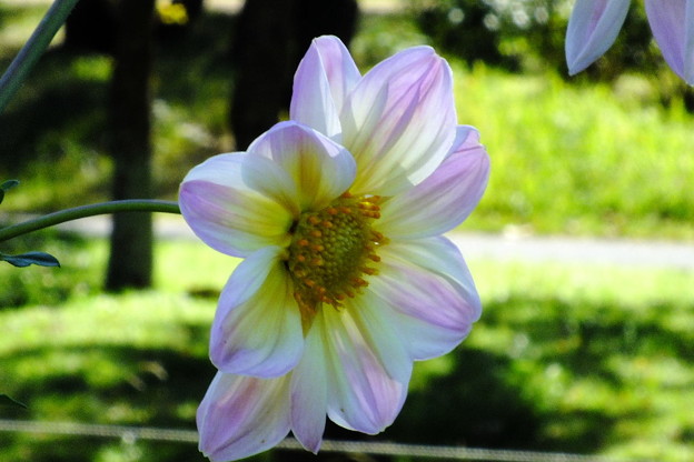 DSCF0154