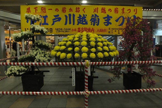 DSCF0001