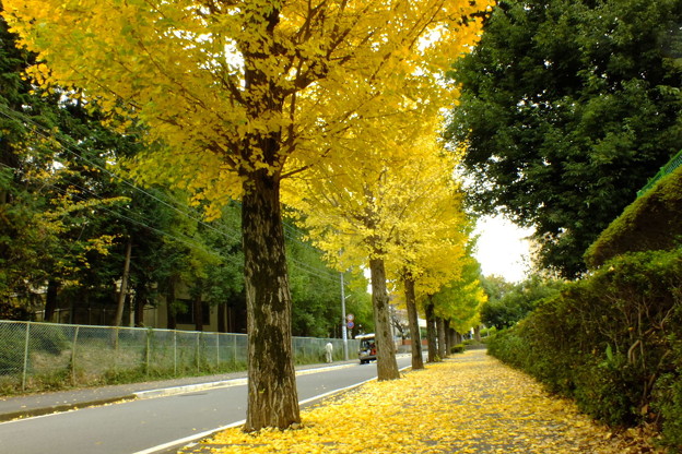 DSCF0045
