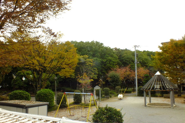 DSCF0008
