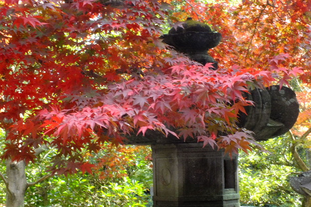 DSCF0157