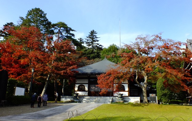 DSCF0343