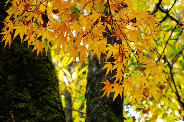 DSCF0157