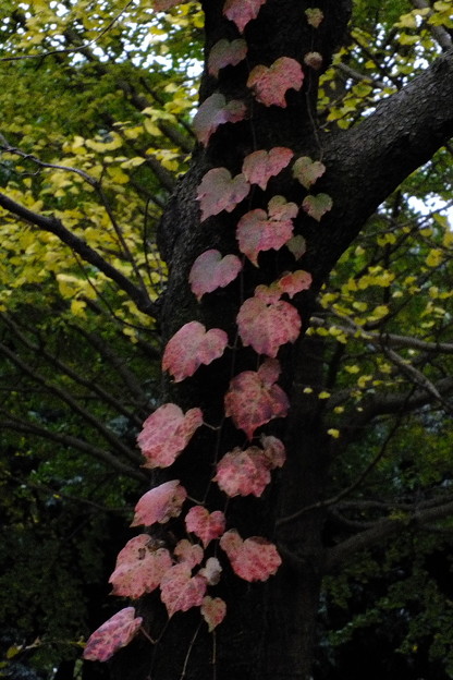 DSCF0376