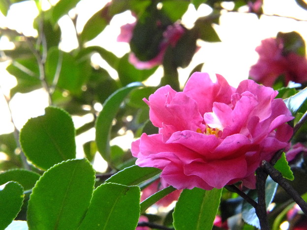 DSCF0157