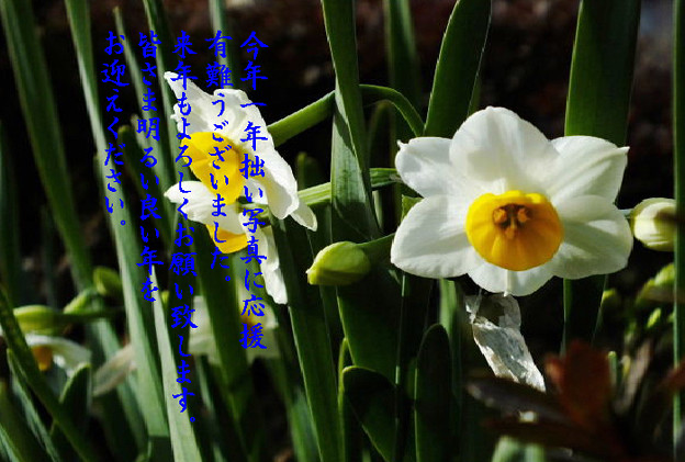 年末1