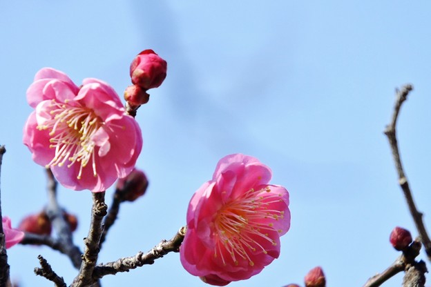 DSCF0181