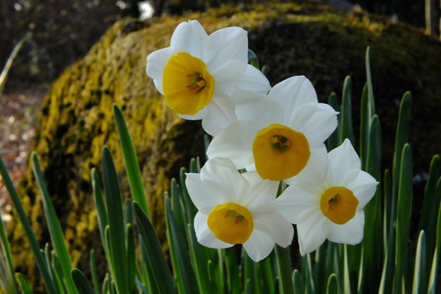 DSCF0297