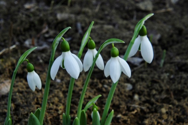 DSCF0259