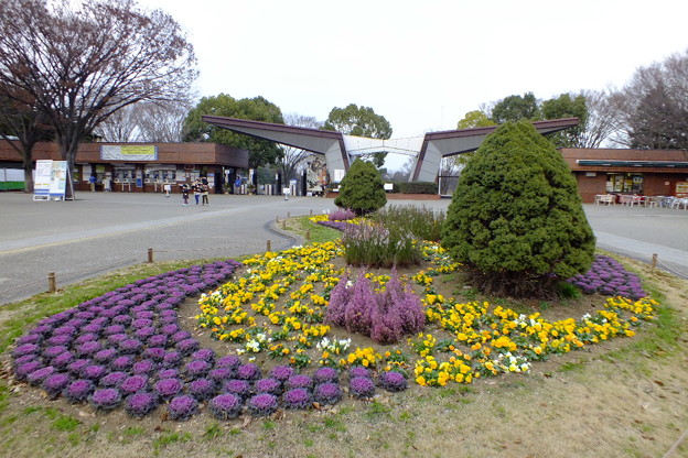 DSCF0398