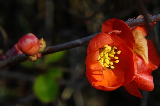 DSCF0131